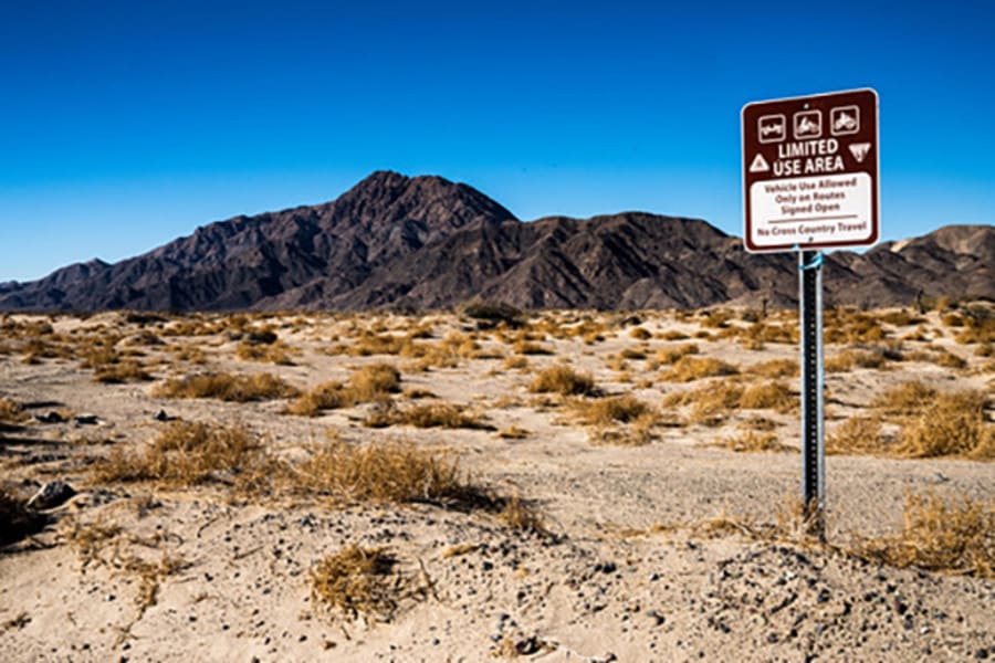 Mojave Desert